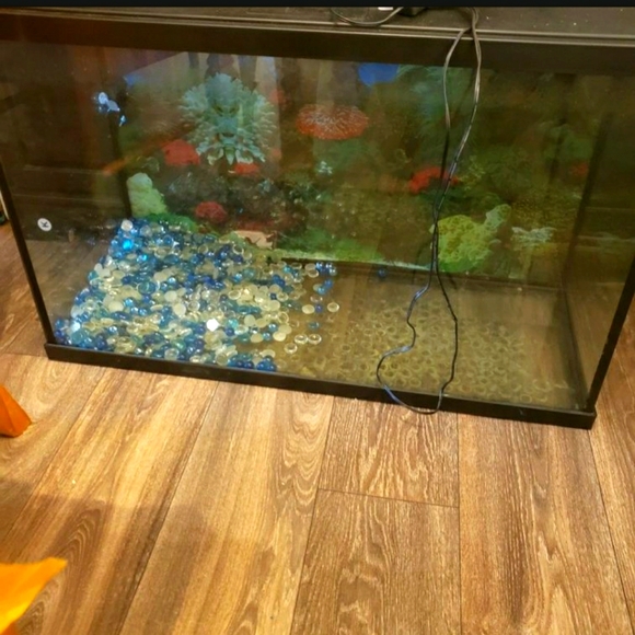 26 gallon fish tank